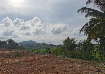 水?，F(xiàn)場照片