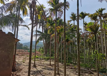 水?，F(xiàn)場照片